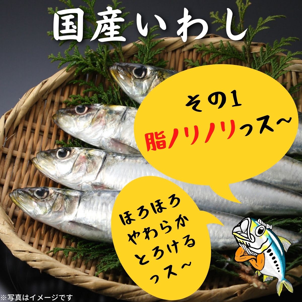 あいこちゃん脂のり☆のりいわし 生姜☆パワー 140g×24缶 伊藤食品公式オンラインショップ -AIKOCHANの美味しい缶詰-