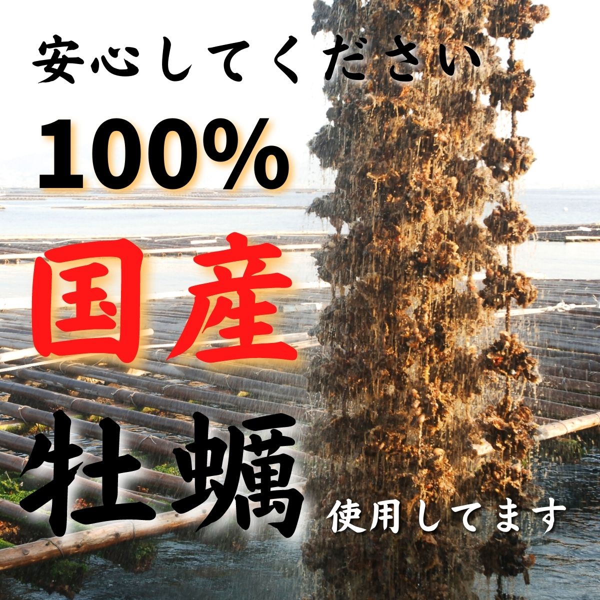 あいこちゃん牡蠣油漬 にんにく入り 160g×24缶 | 伊藤食品公式