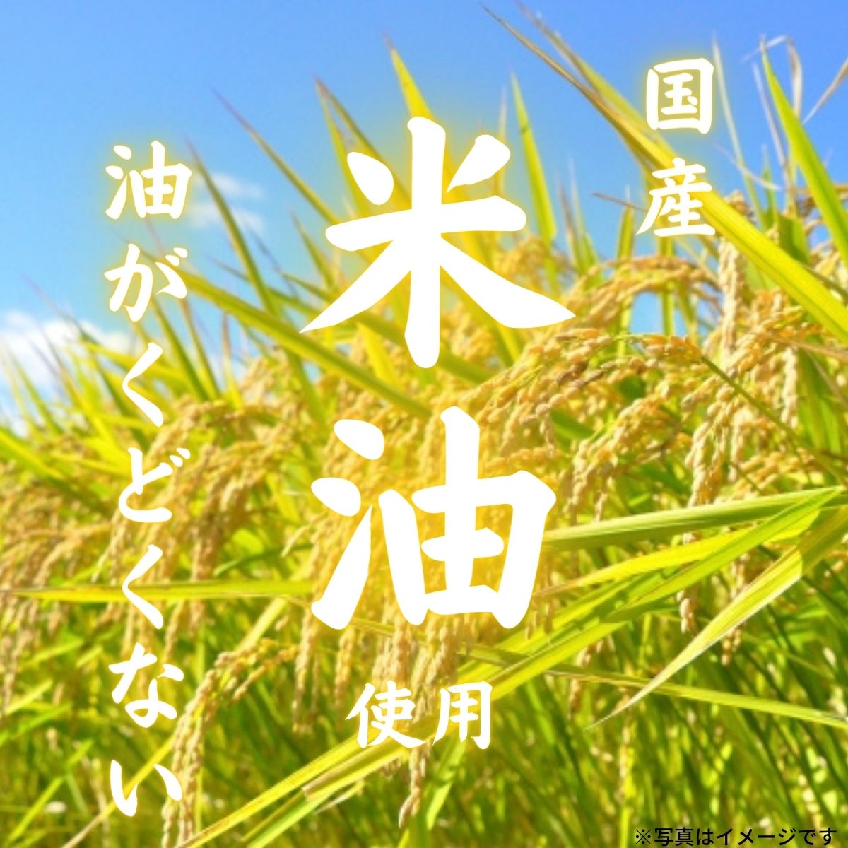 あいこちゃん牡蠣油漬 にんにく入り 160g×24缶 | 伊藤食品公式 あいこちゃん牡蠣油漬 にんにく入り 160g×24缶 | 伊藤食品公式